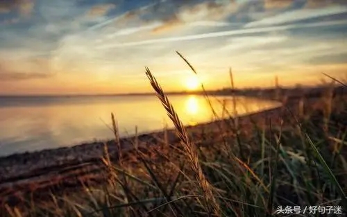 二字句子文案大全