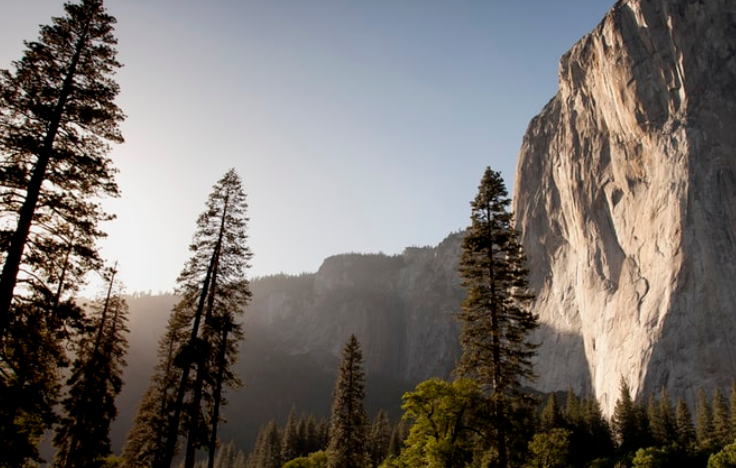 老人智慧语录文案