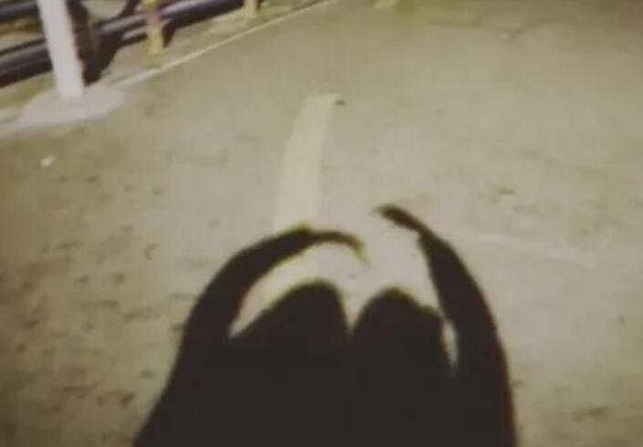 塑料姐妹花的句子文案