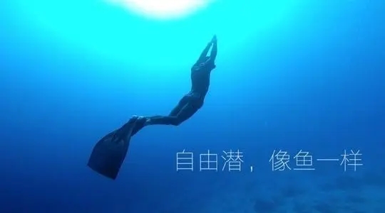 生活像鱼一样自由说说文案