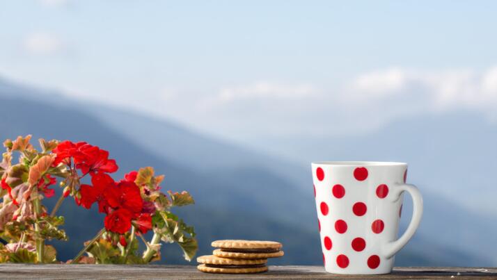 写景段落摘抄带出处