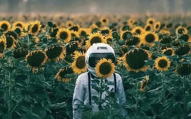 2024唯美句子文案