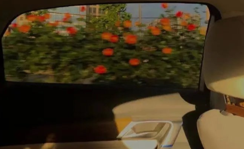 适合晚上发的温柔简短小句子文案