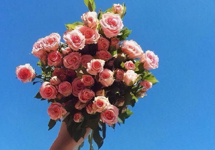 大彻大悟的禅意句子文案