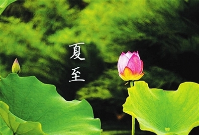 关于夏至的古诗四句诗意