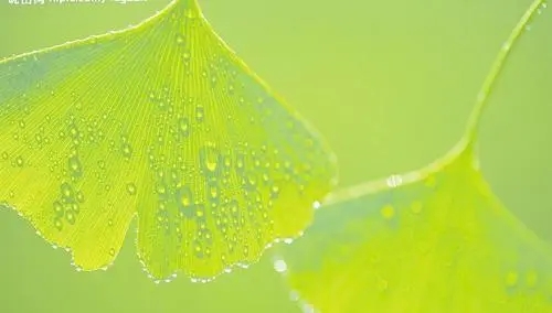 关于生命的唯美句子文案