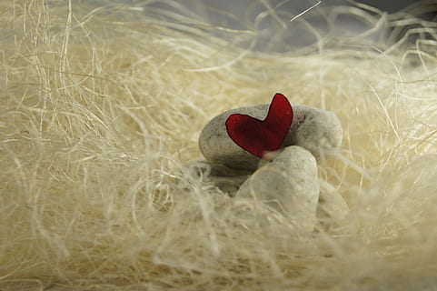 写给对象的1000字情话文案