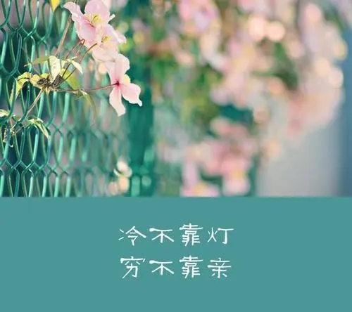 不靠别人靠自己的句子文案