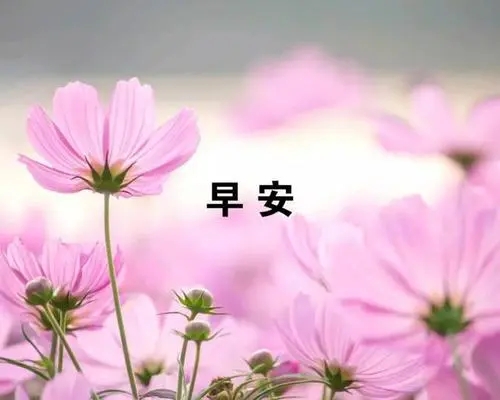 早安句子文案发朋友圈心语