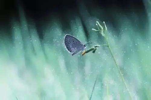 简短一句话经典语录文案