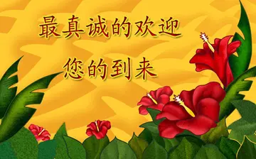 欢迎加盟商加盟的句子文案