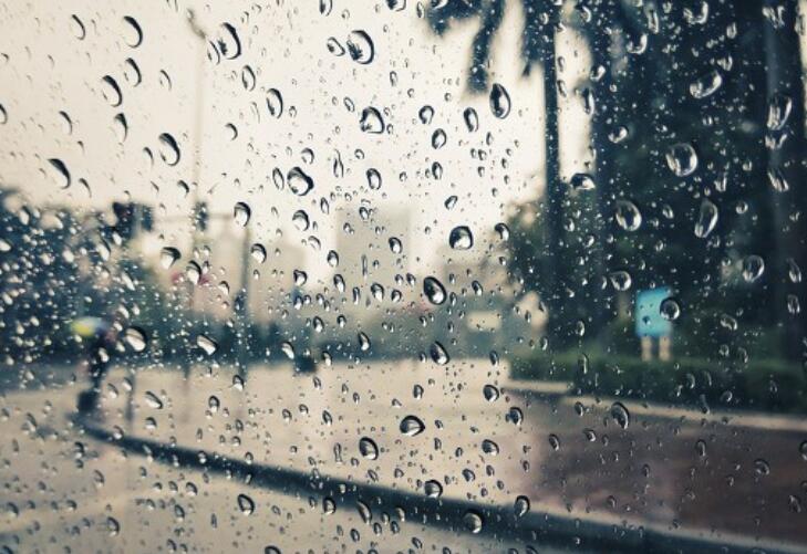 经典散文片段摘抄