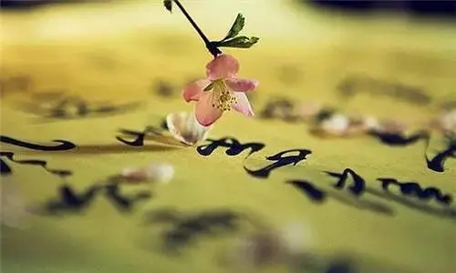 感叹人生缘分的诗句文案