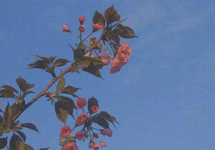 关于记忆的唯美句子文案