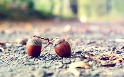 心情说说文案心情短语