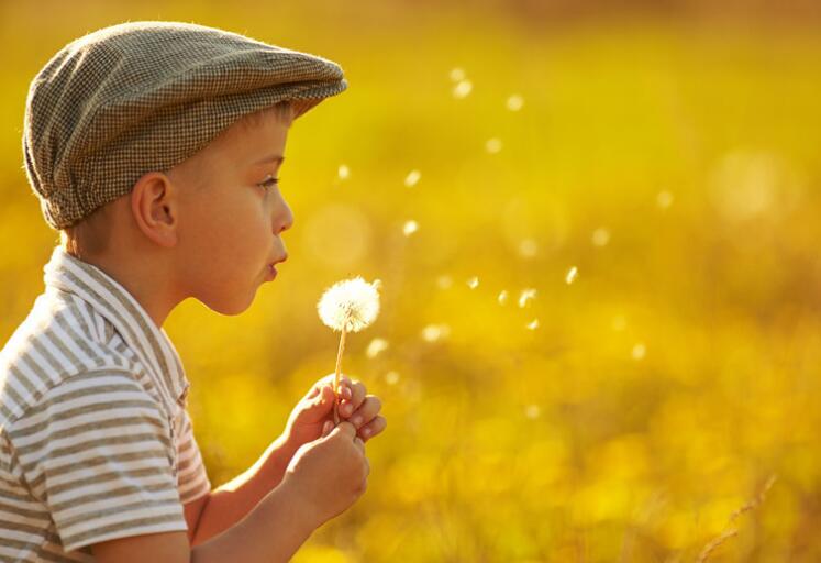 欢迎小生命到来的句子文案