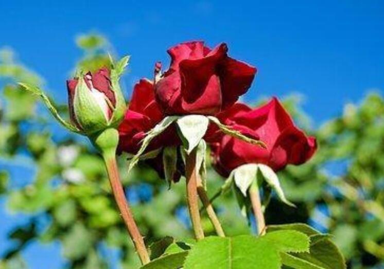 一个人挺好的经典语录文案