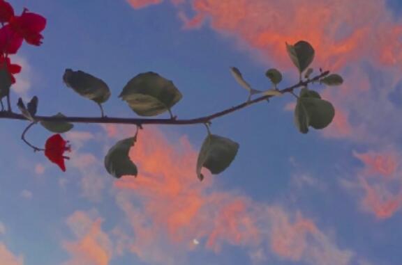 关于言多必失精辟句子文案