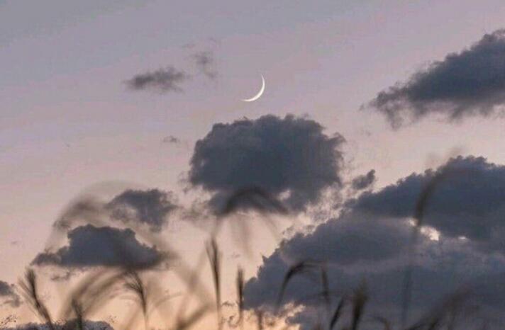 励志诗意的句子文案