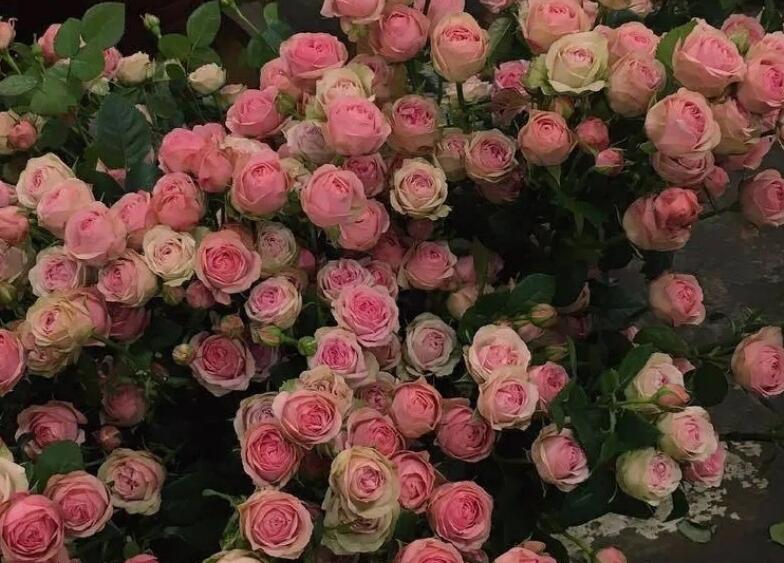 七夕小情话文案短句