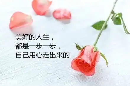 到最后感动的只有自己的句子文案