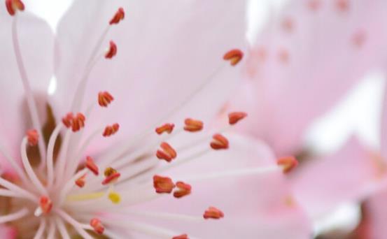 有修辞手法的优美段落