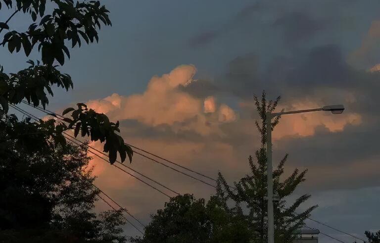 让人看了心疼的短句