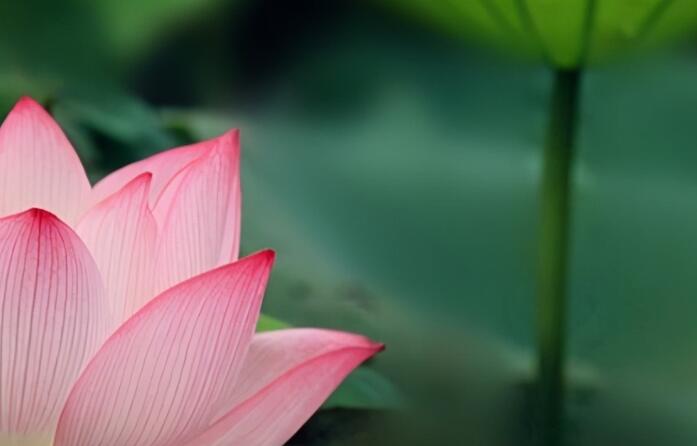 夏季关心问候短信