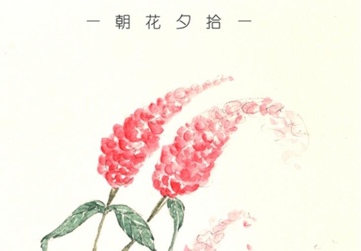 朝花夕拾读书笔记摘抄