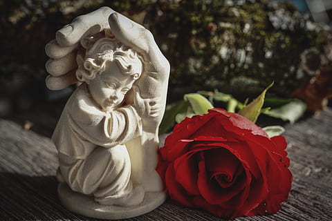 世界上最美的爱情句子文案