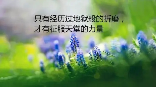 女人当自强正能量句子文案
