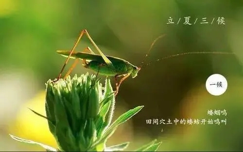 带夏的古诗词100首