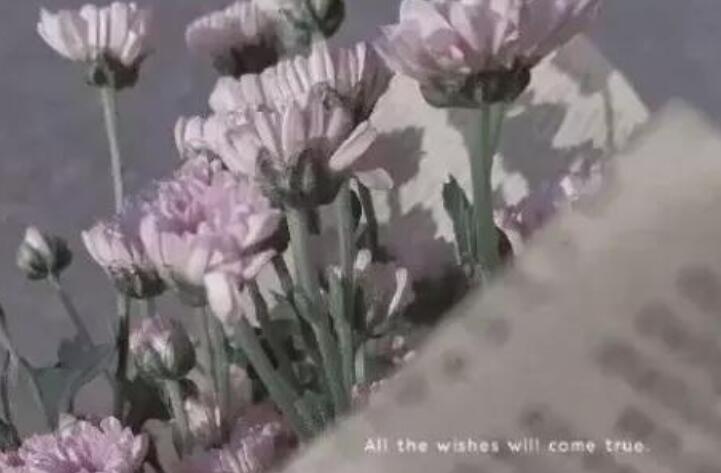 好词好句文案大全