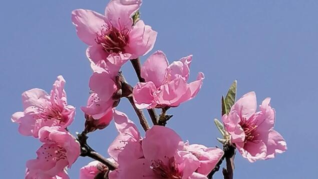 活在美颜相机里搞笑的说说文案