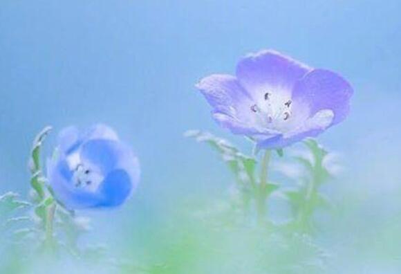 微信群励志早安问候语