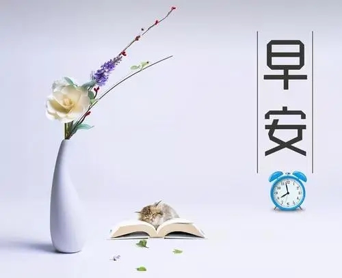 早安女人励志心语2024最新