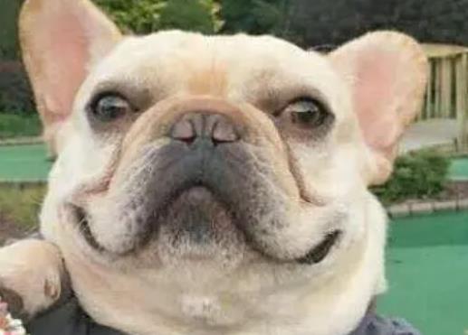 关于减肥的幽默句子文案大全