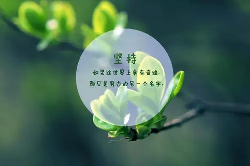 早安励志语录文案简短