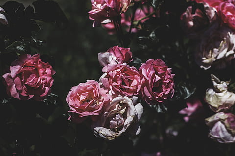 陪伴对象暖心的句子文案