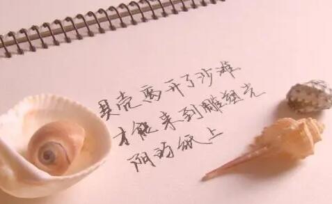 富有哲理的句子文案摘抄