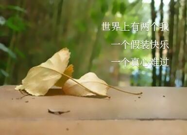 2024年抖音最美的句子文案