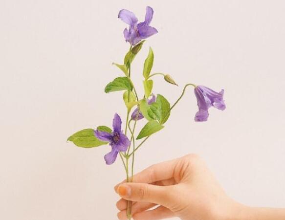 情话文案短句成熟