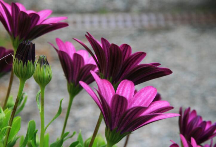 表达心情放松的句子文案