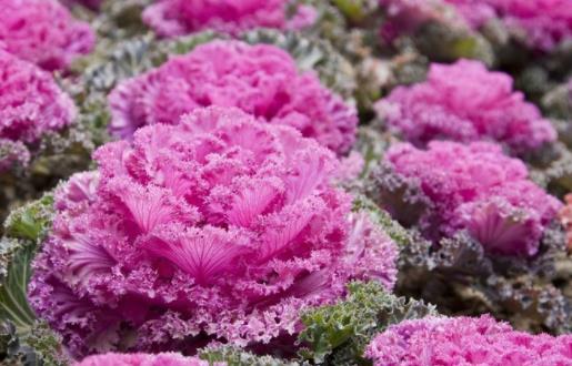 朋友要走了送别的句子文案