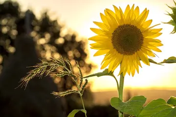 形容东西精致的句子文案