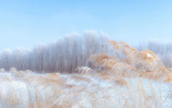 描写雪的诗40首