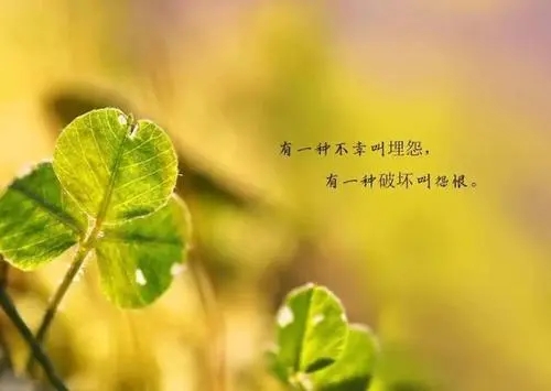 人生感悟美好的句子文案