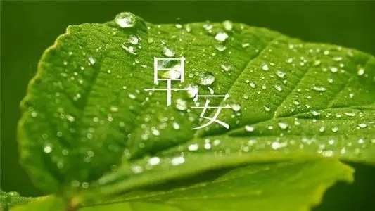 春天语录文案朋友圈