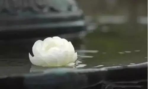 佛说放下一段感情的句子文案