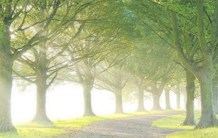 名人名言经典摘抄